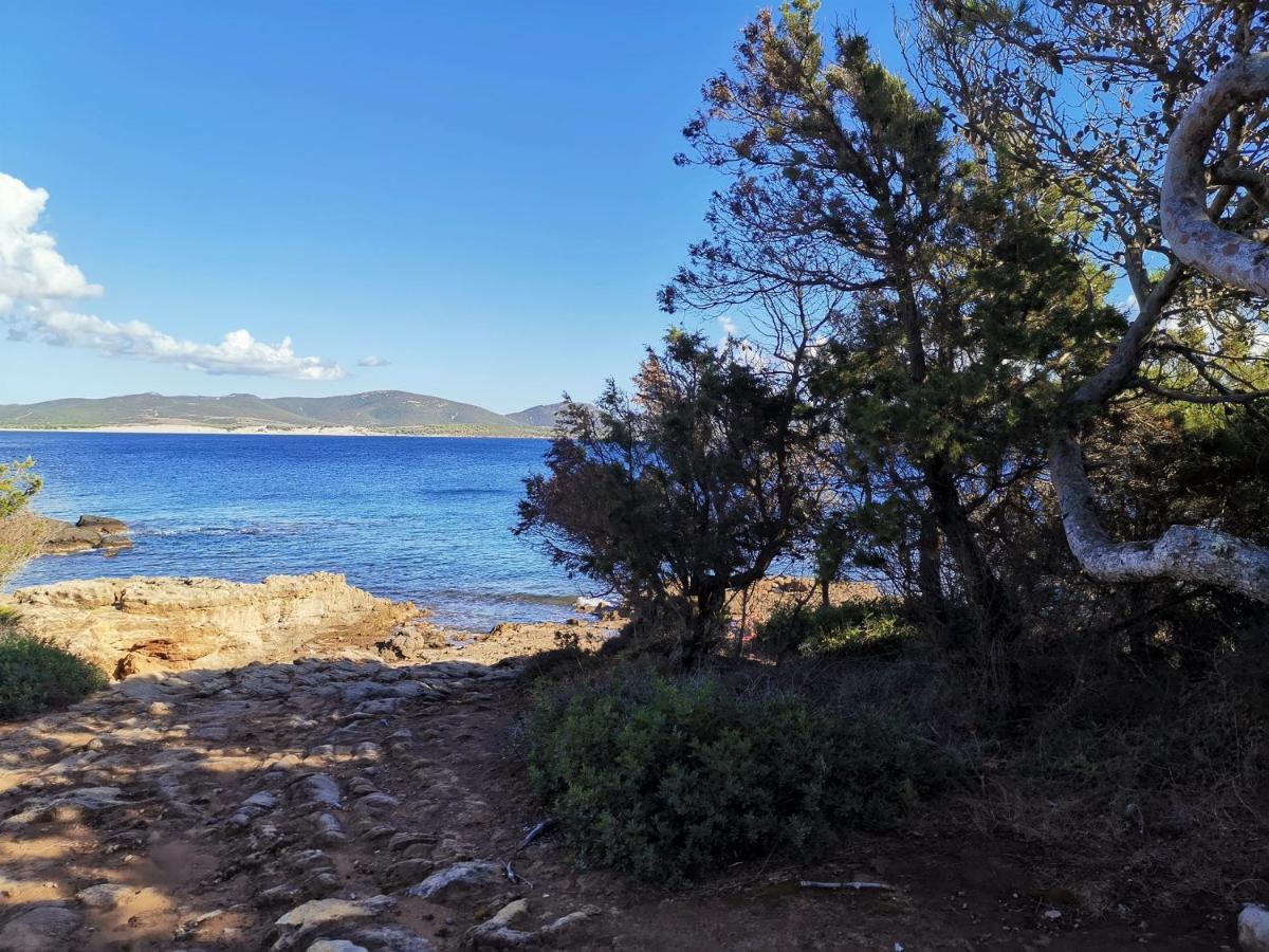 Ziu Angelinu Ad Un Passo Dal Mare Villa Porto Pino Exterior photo